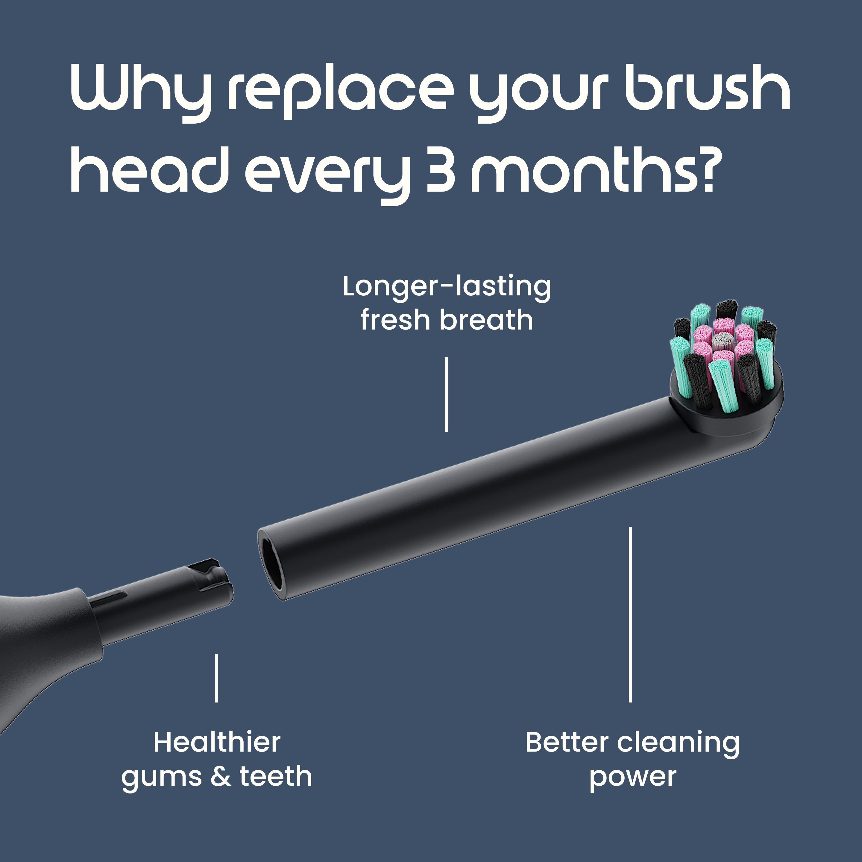 Rev Gum Care Oscillating Brush Head