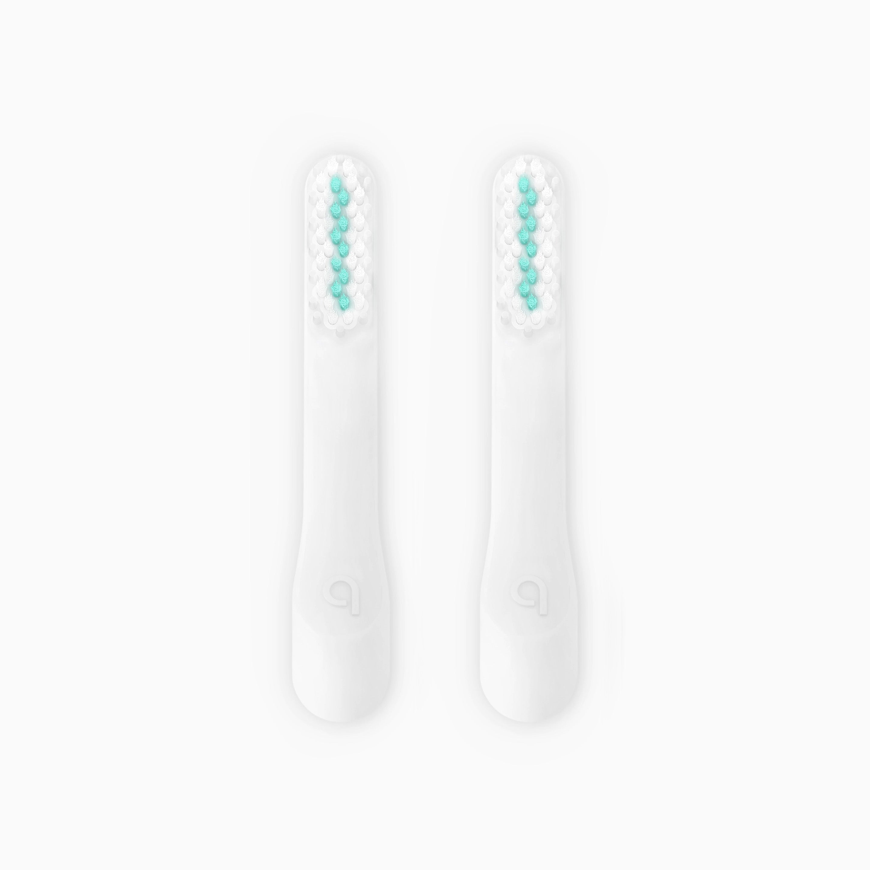 Standard Soft Brush Head Refill