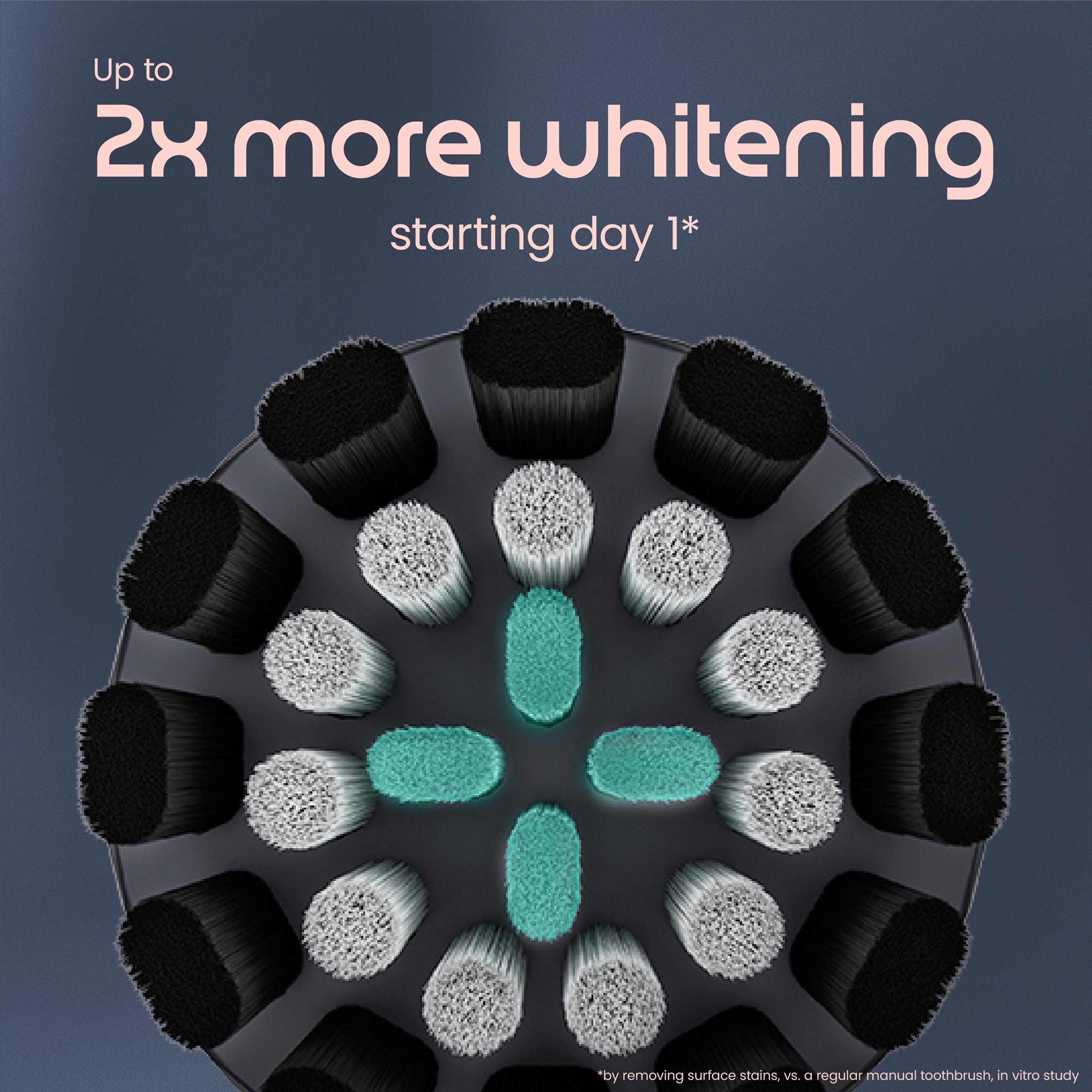 Graphic showing a close-up of a black toothbrush head with charcoal and whitening bristles, highlighting up to 2x more whitening starting day 1.