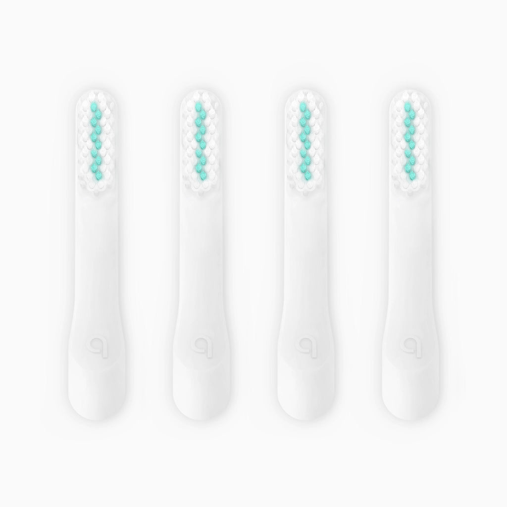 Standard Soft Brush Head Refill