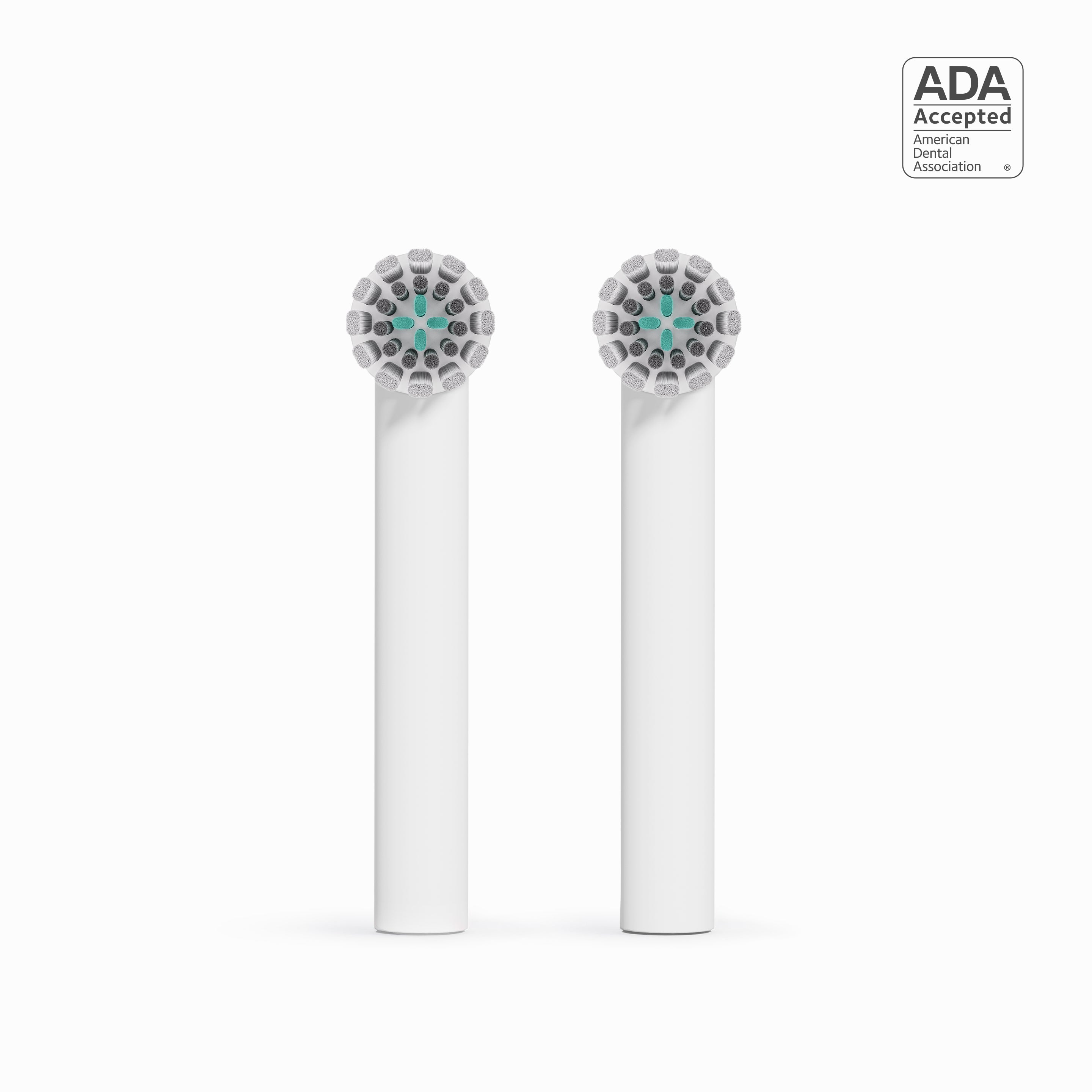 Two dental brush heads with ADA acceptance logo on a white background