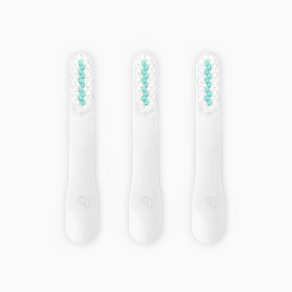 Standard Soft Brush Head Refill