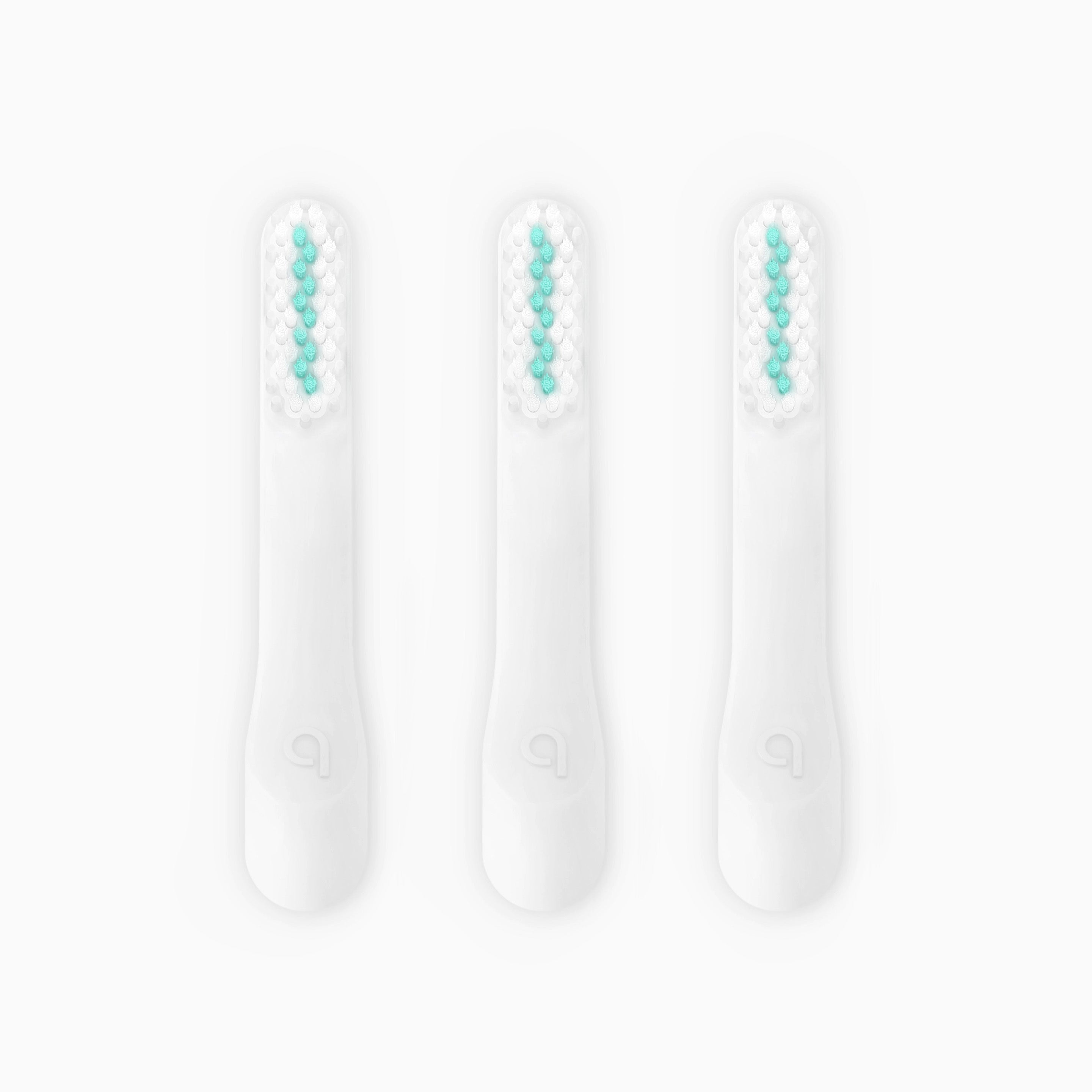 Standard Soft Brush Head Refill