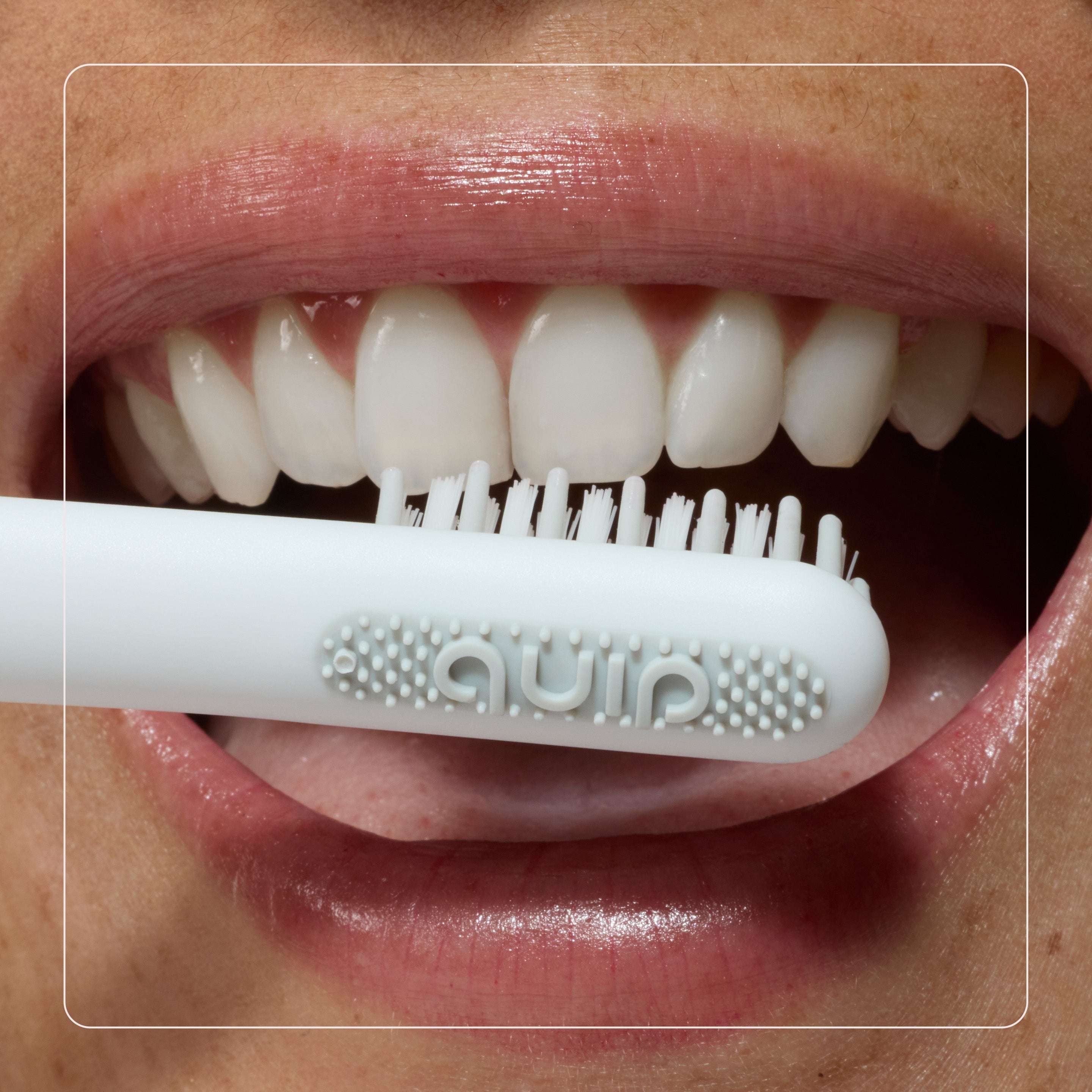 Sonic Toothbrush